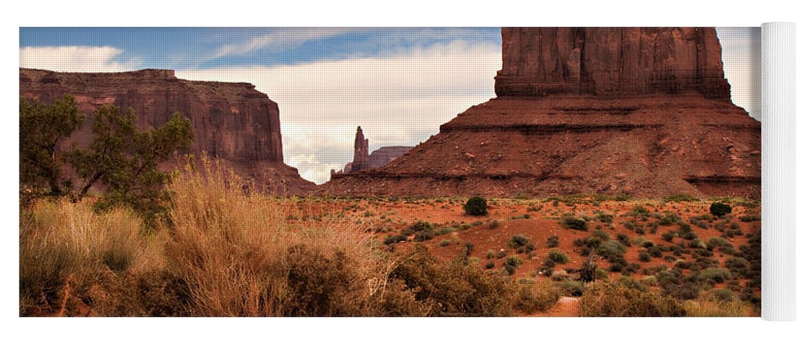 Arizona Yoga Mat featuring the photograph Mitten View by Lana Trussell