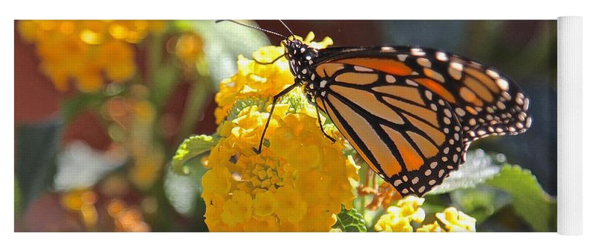 Monarch Yoga Mat featuring the photograph Monarch Butterfly on Lantana by Liz Vernand