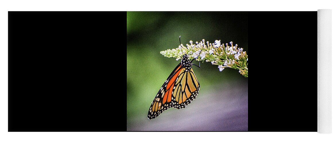 2010 Yoga Mat featuring the photograph Monarch Butterfly by Winnie Chrzanowski