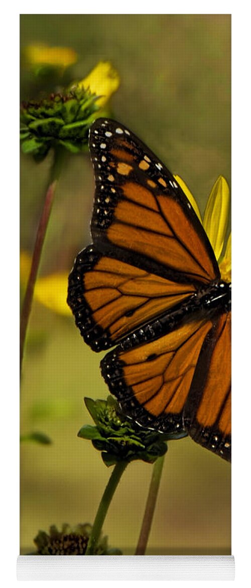 Butterfly Yoga Mat featuring the photograph Monarch in the Garden - Vertical by Mitch Spence