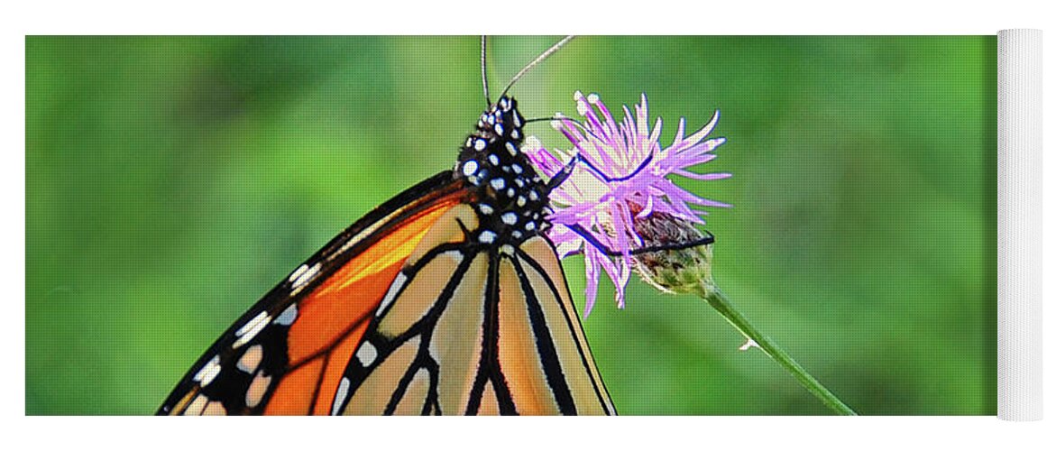 Monarch Butterfly Yoga Mat featuring the photograph Monarch in the Meadow by Peg Runyan