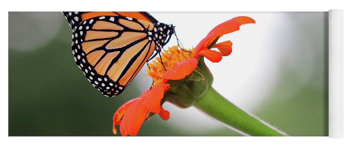 Butterfly Yoga Mat featuring the photograph Monarch Landing by Mary Anne Delgado