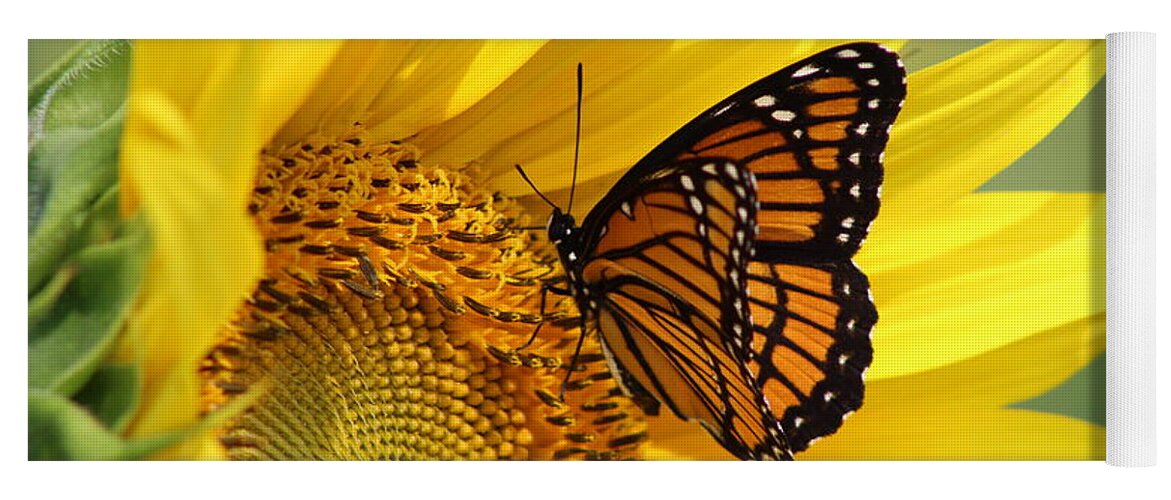Monarch Yoga Mat featuring the photograph Monarch on Sunflower by Dominic Labbe