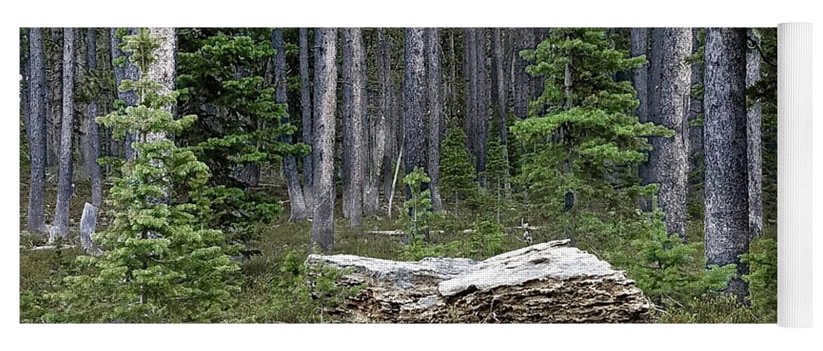 Kings Hill Yoga Mat featuring the digital art Montana Forest by Susan Kinney