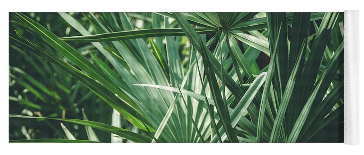 Green Yoga Mat featuring the photograph Moody Tropical Leaves by Andrea Anderegg