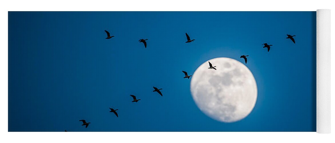Nature Yoga Mat featuring the photograph Moonlight Flight by Jeff Phillippi