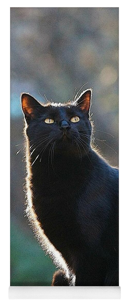 Black Cat Yoga Mat featuring the photograph Morning Bird Watch by Tracey Vivar