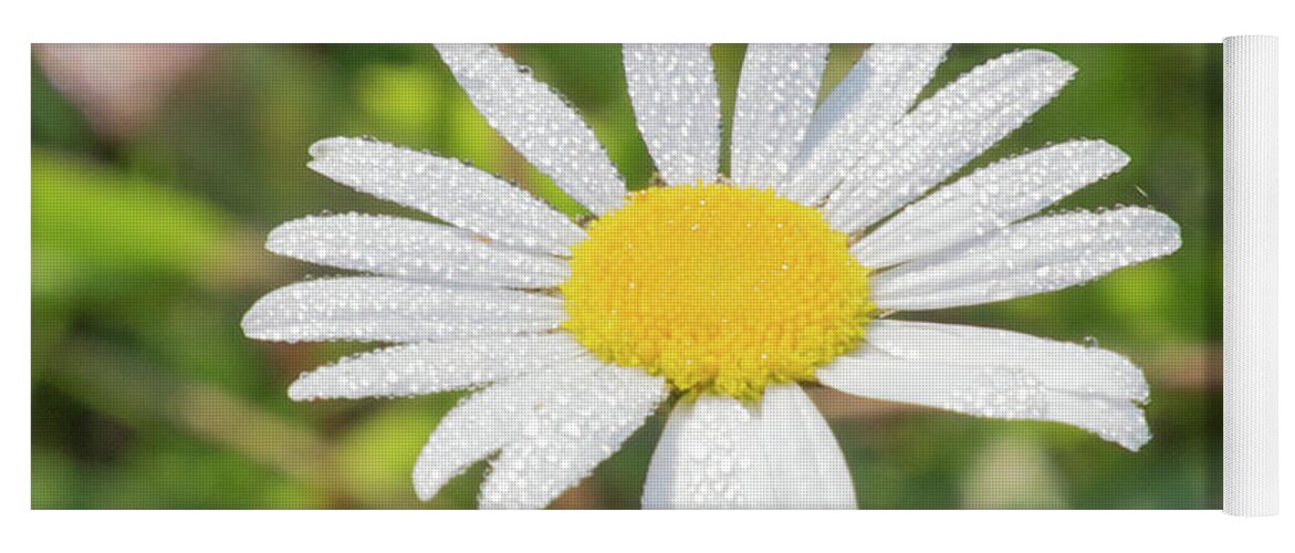 Flower Yoga Mat featuring the photograph Morning Dew by John Benedict