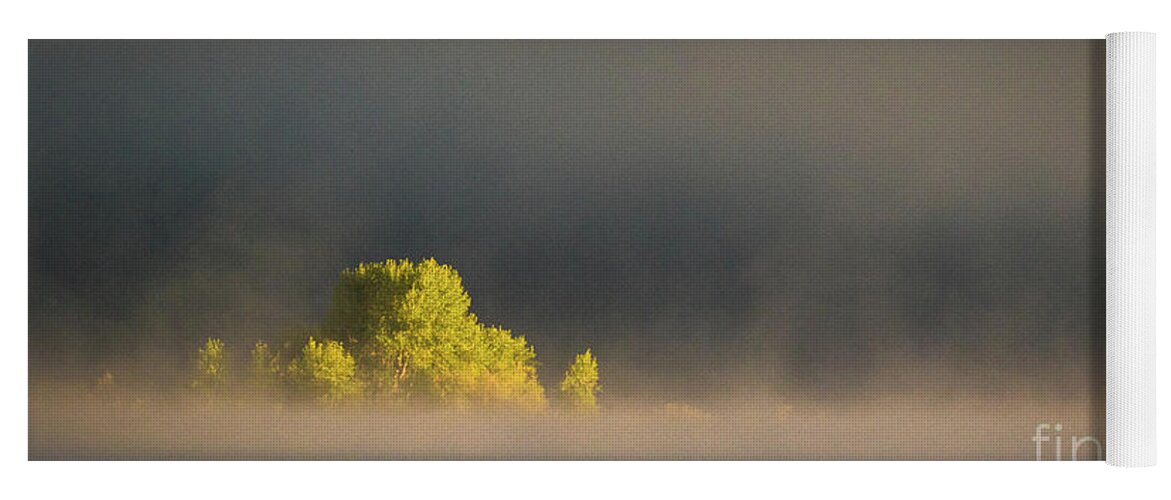 Morning Yoga Mat featuring the photograph Morning fog on Jackson Lake Grand Teton National Park by Brandon Bonafede