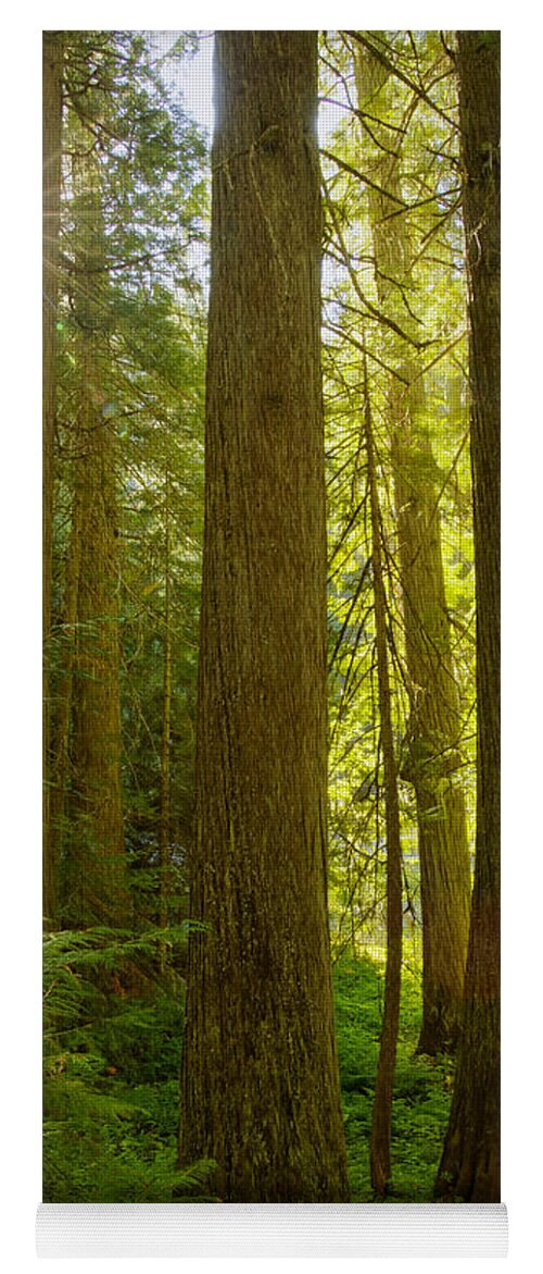 Idaho Yoga Mat featuring the photograph Morning in Devoto by Idaho Scenic Images Linda Lantzy
