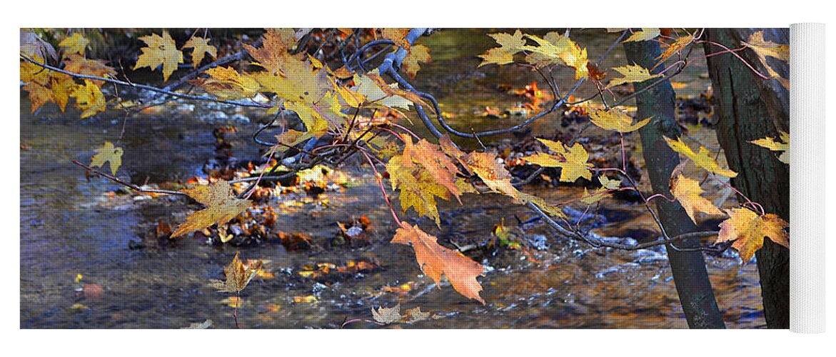 Falls Park Yoga Mat featuring the photograph Morning Leaves Falls Park Pendleton by Amy Lucid