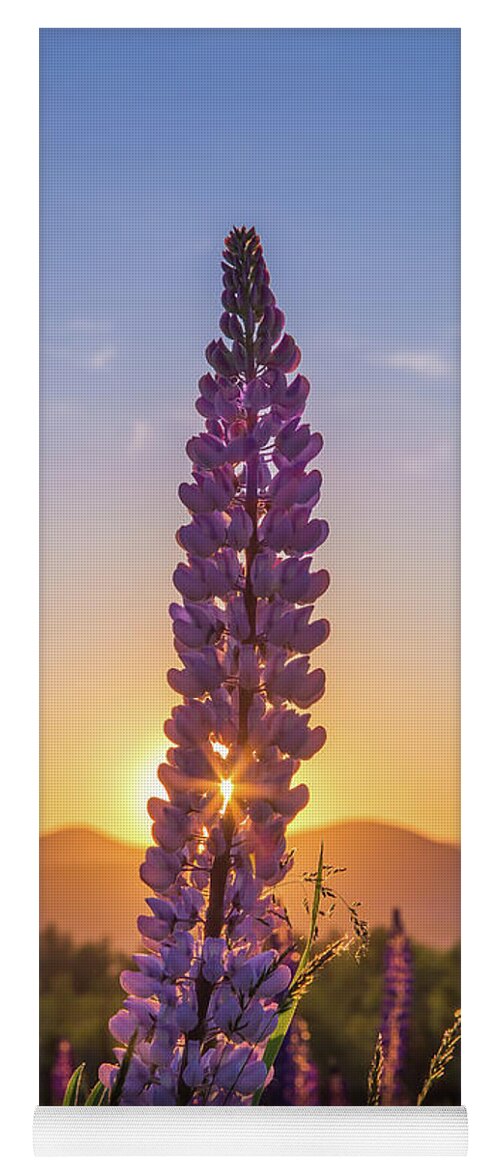 Morning Yoga Mat featuring the photograph Morning on the Bloom by White Mountain Images