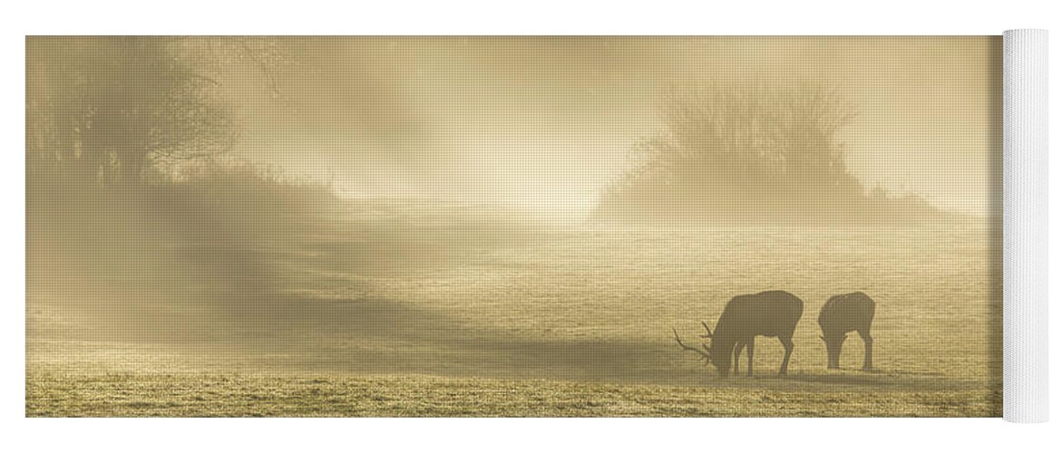 Elk Yoga Mat featuring the photograph Morning on the Meadows 0725 by Kristina Rinell