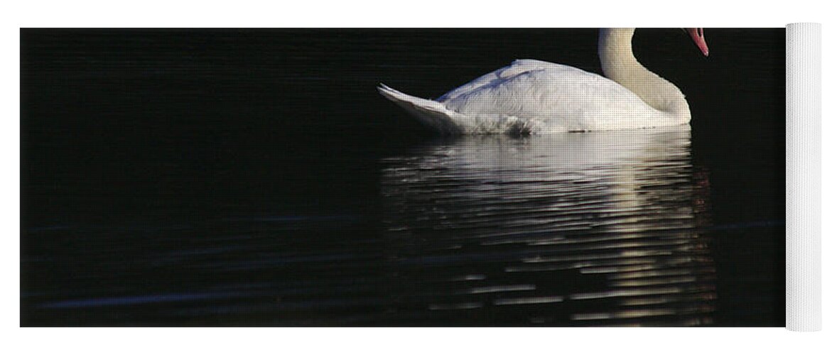 St James Lake Yoga Mat featuring the photograph Morning Swan by Jeremy Hayden