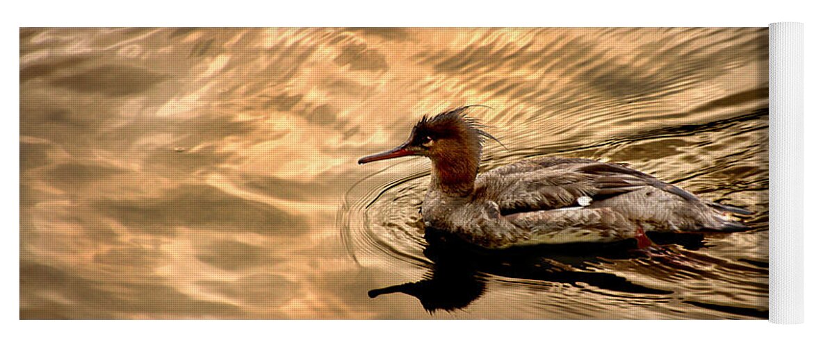 Red-breasted Merganser Yoga Mat featuring the photograph Morning Swim by David Yocum