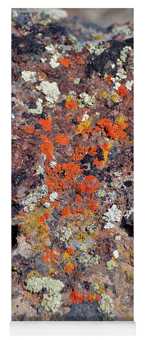 Denise Bruchman Yoga Mat featuring the photograph Moss Lichen Abstract by Denise Bruchman