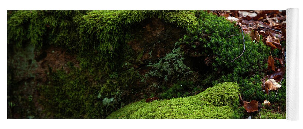 Jenny Rainbow Fine Art Photography Yoga Mat featuring the photograph Mossy Rocks in Spring Woods by Jenny Rainbow