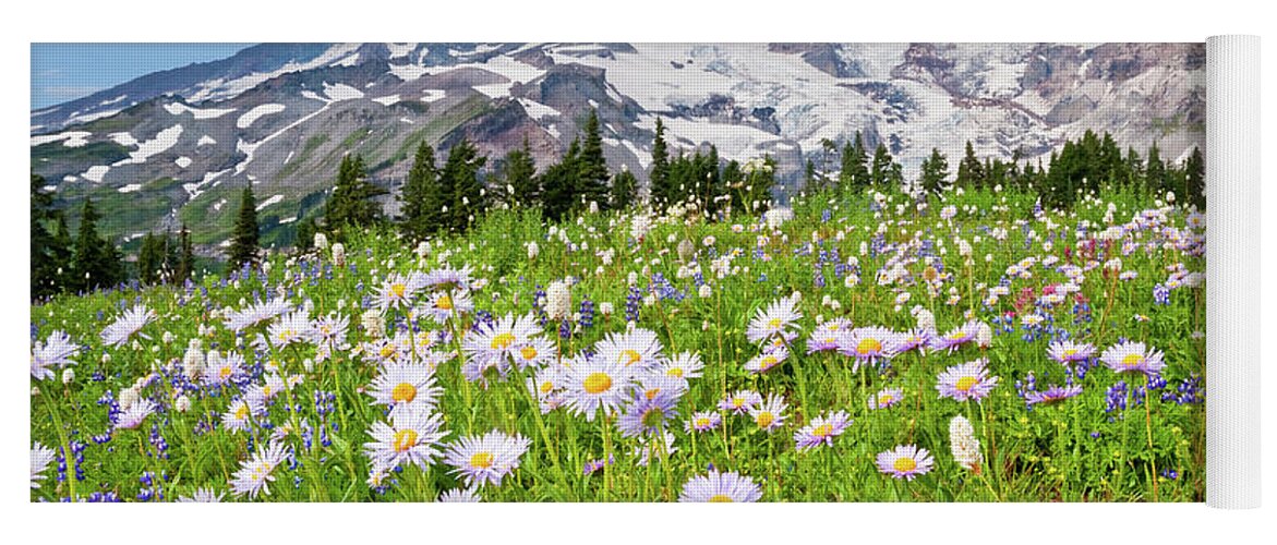 Alpine Yoga Mat featuring the photograph Mount Rainier and a Meadow of Aster by Jeff Goulden