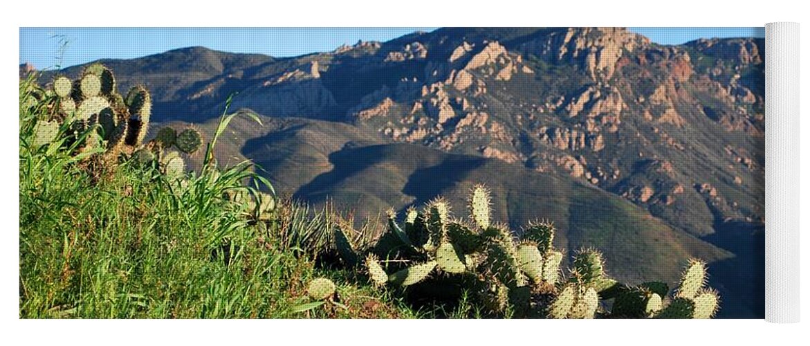 Tree Yoga Mat featuring the photograph Mountain Cactus View - Santa Monica Mountains by Matt Quest