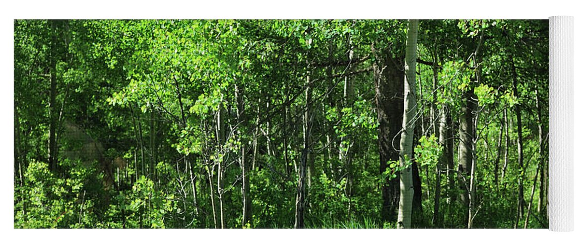 Trees Yoga Mat featuring the photograph Mountain Greenery by Ron Cline