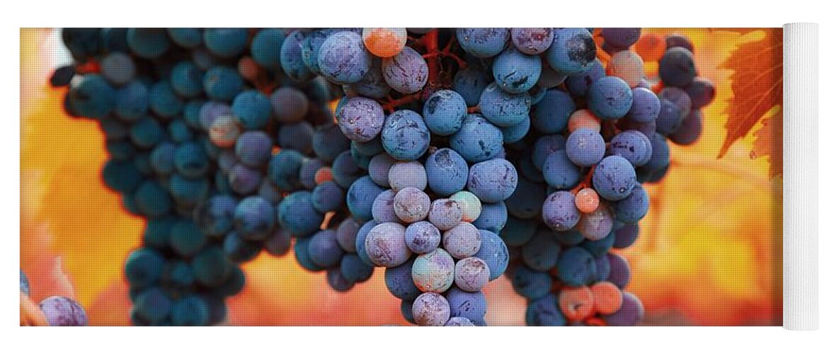 Multicolored Grapes Yoga Mat featuring the photograph Multicolored grapes by Lynn Hopwood