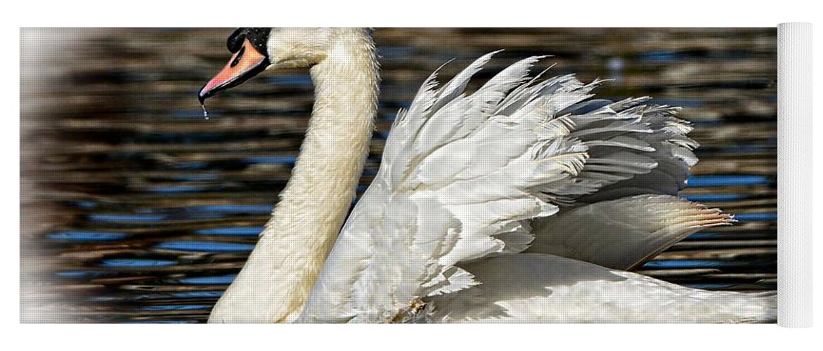 Swan Yoga Mat featuring the photograph Mute Swan by Kathy Baccari