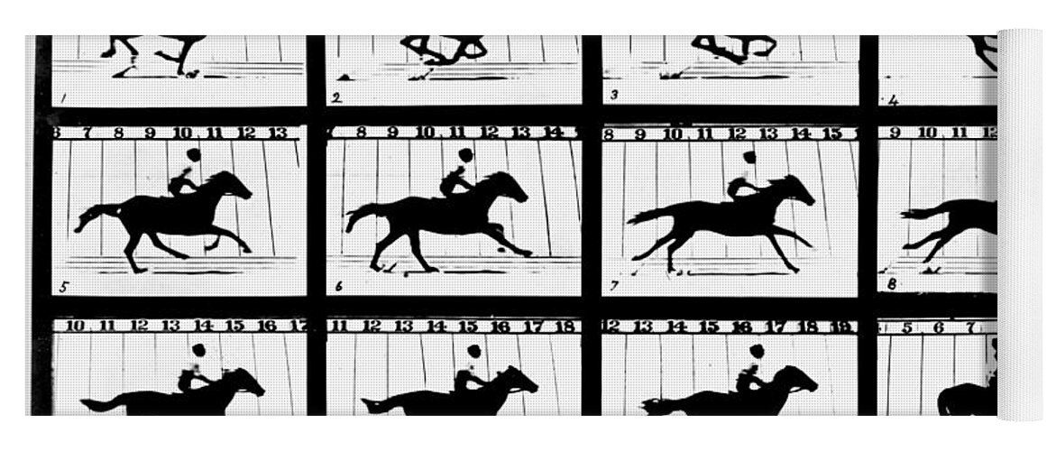 Pixels　by　Muybridge　Yoga　Motion　Eadweard　Mat　Merch　Horse　In