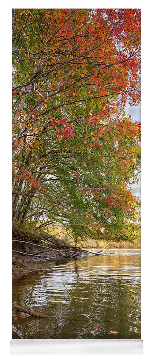 Myers Yoga Mat featuring the photograph Myers Creek Fall by Alan Raasch