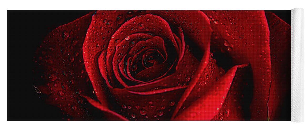 Roses Yoga Mat featuring the photograph Mysterious by Elaine Malott