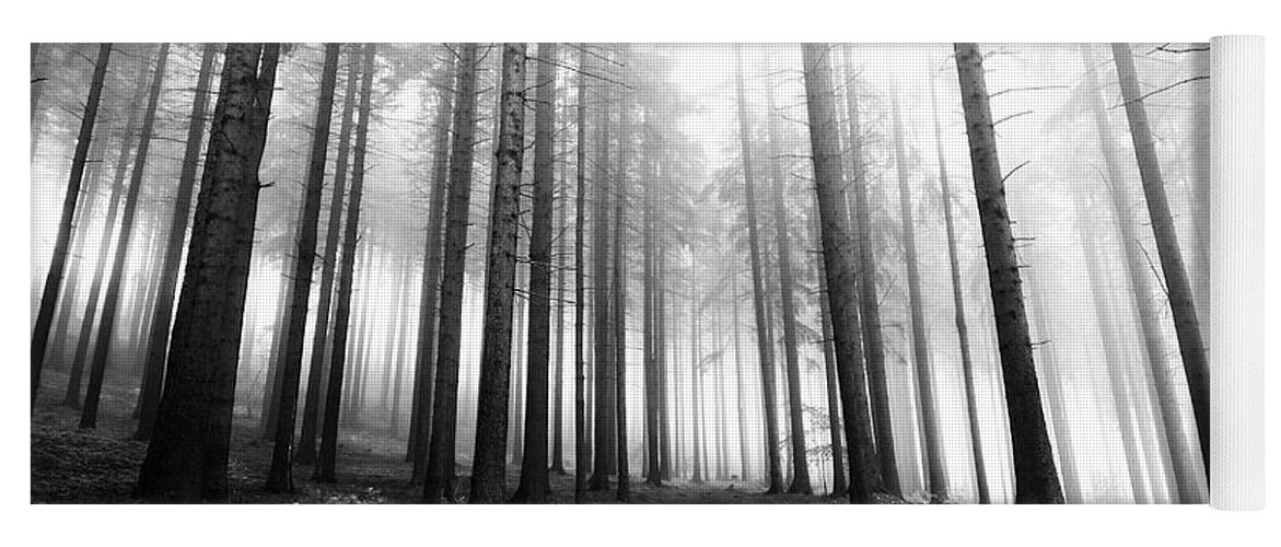 Bleak Yoga Mat featuring the photograph Mysterious Forest by Michal Boubin
