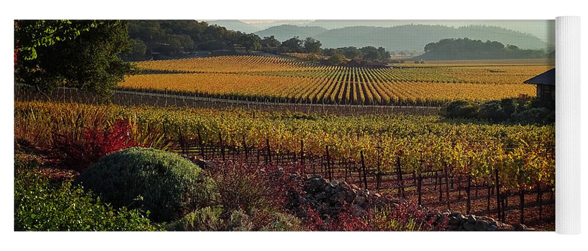 Landscape Yoga Mat featuring the photograph Napa Valley California by Xueling Zou