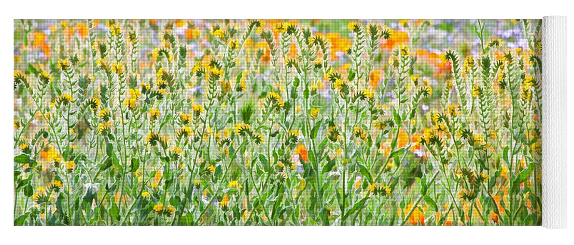 California Wildflowers Yoga Mat featuring the photograph Nature's Artwork - California Wildflowers by Ram Vasudev
