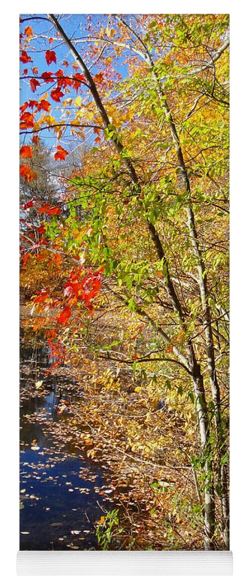 Autumn Landscape Yoga Mat featuring the photograph Nature's Expression-15 by Leonard Holland