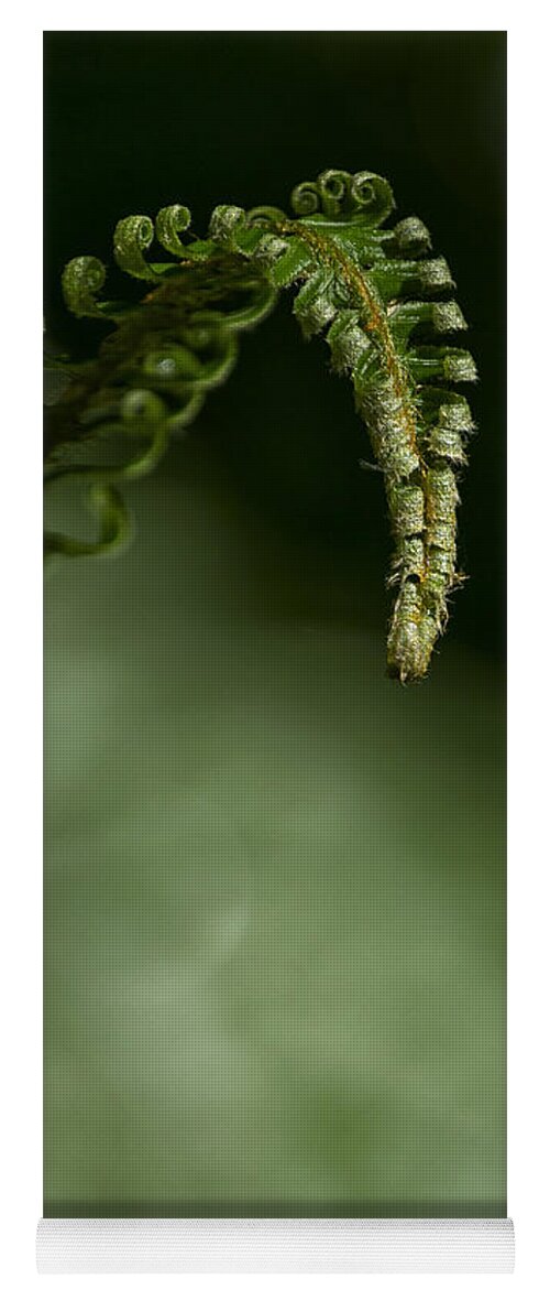 Fern Yoga Mat featuring the photograph Nature's Helper by Belinda Greb