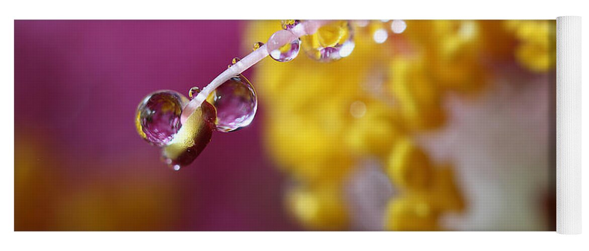 Water Drops Yoga Mat featuring the photograph Natures Secrets Hide Among The Droplets by Mike Eingle
