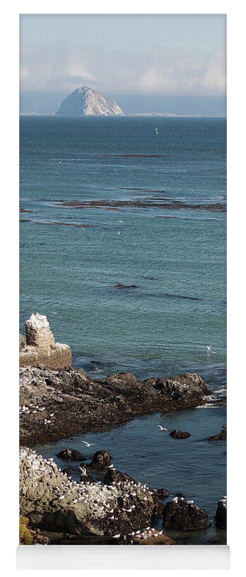 Photograph Yoga Mat featuring the photograph Near Cayucos IV by Suzanne Gaff