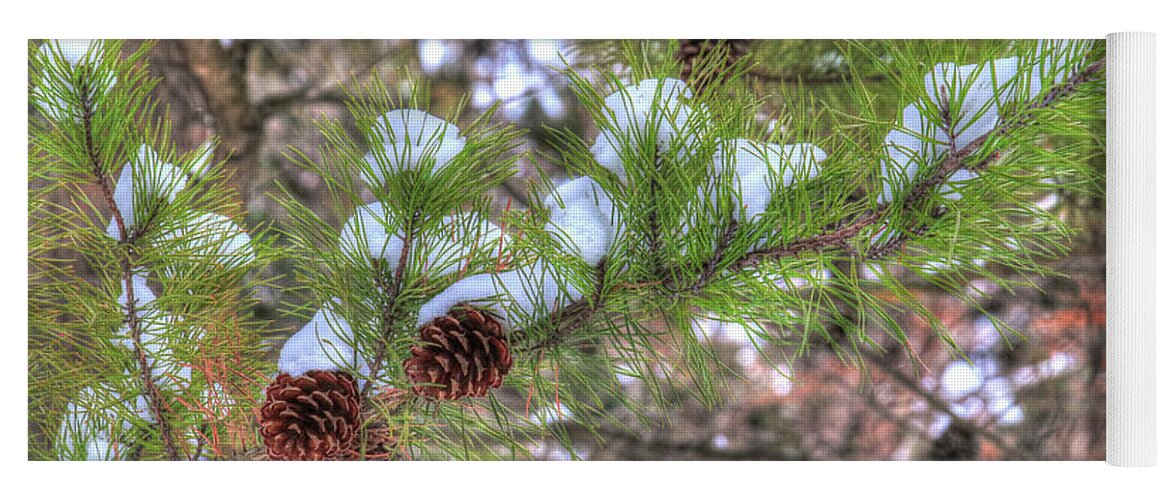 Pine Yoga Mat featuring the photograph Needles and Cones by J Laughlin
