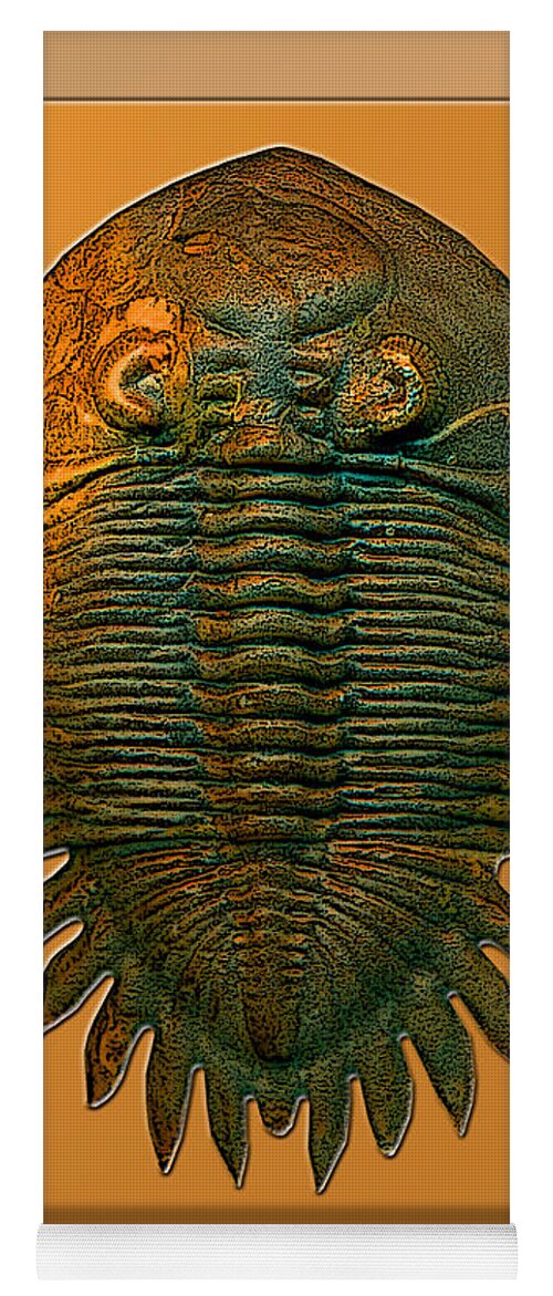 Trilobite Fossil Ancient Colorful Exotic Paleontology Marine Prehistoric Unique Cool Awesome Yoga Mat featuring the photograph Neometacanthus fossil trilobite by Melissa A Benson