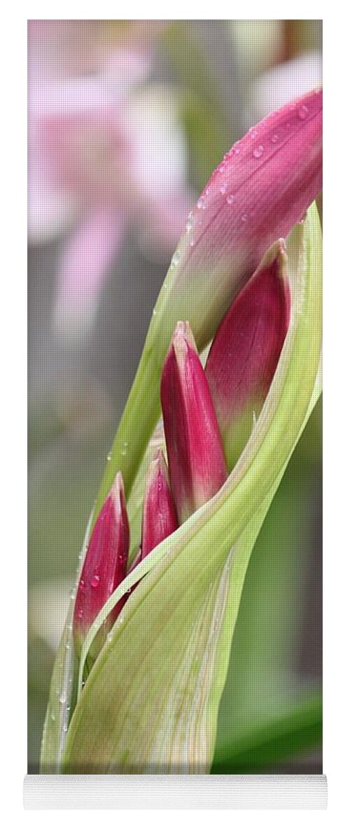 Daylily Yoga Mat featuring the photograph New Beginnings by Amy Gallagher