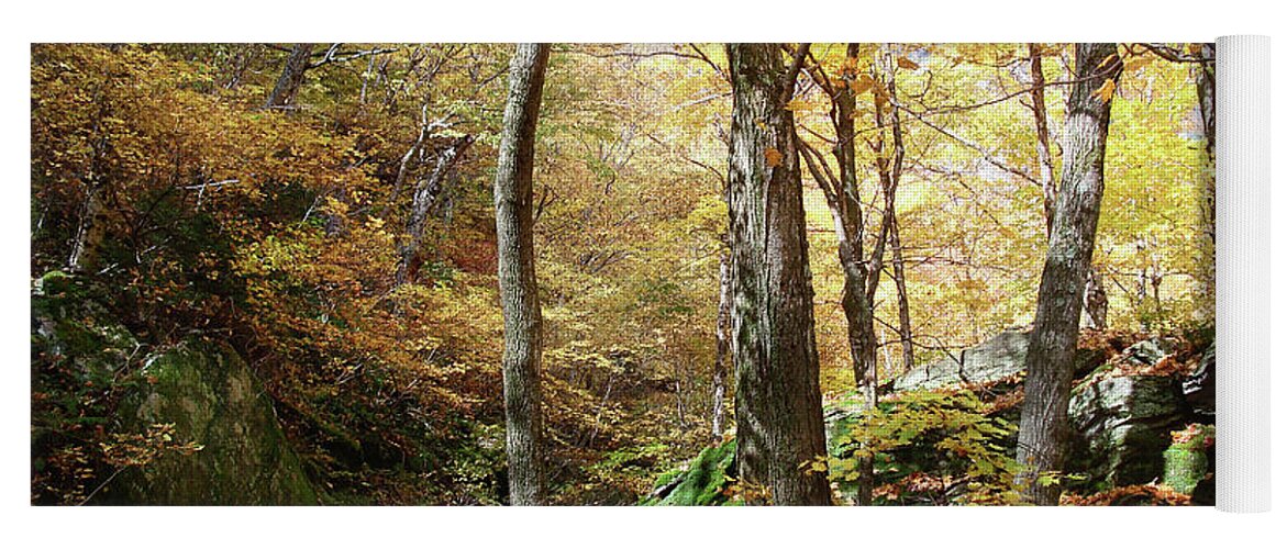 Fall Colors Yoga Mat featuring the photograph Niche in Smuggler's Notch by Felipe Adan Lerma
