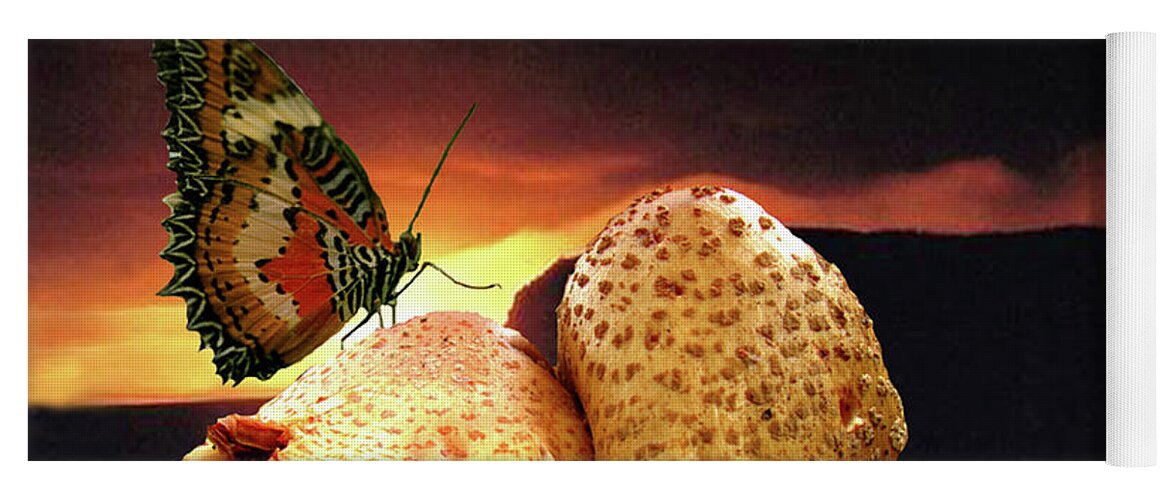 Butterfly Yoga Mat featuring the photograph Night Fall by Donna Brown