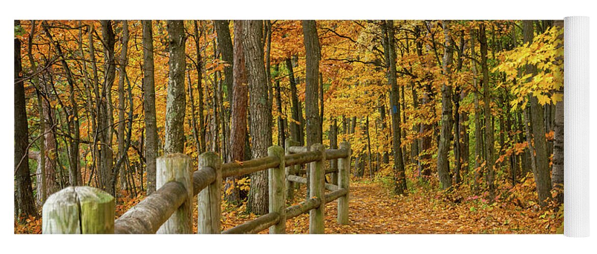 North Country Trail Yoga Mat featuring the photograph North Country Trail 1 by Steve L'Italien