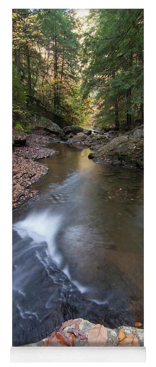 Creek Yoga Mat featuring the photograph North Suck Creek Fall by Paul Rebmann