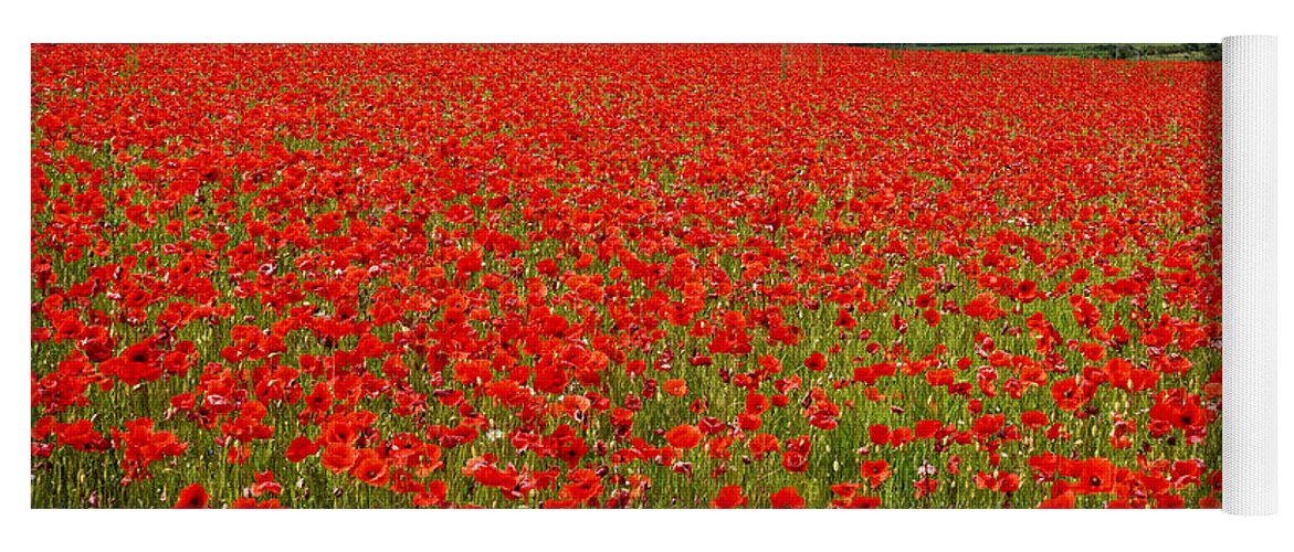 Landscape Yoga Mat featuring the photograph Nottinghamshire Poppy Field by David Birchall