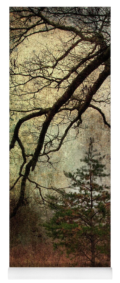 Pine Tree Yoga Mat featuring the photograph November Mood by Michael Eingle