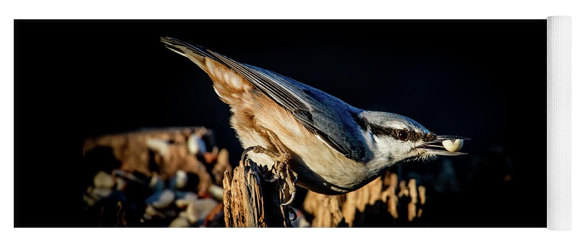 Nuthatch's Nut Yoga Mat featuring the photograph Nuthatch with a nut in the beak by Torbjorn Swenelius