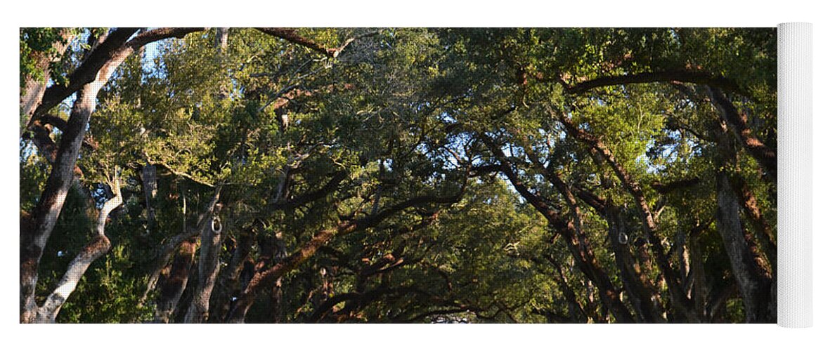 Oak Yoga Mat featuring the photograph Oak Alley Plantation by Maggy Marsh