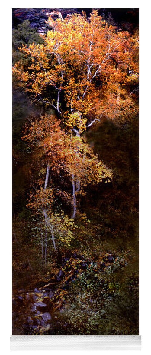 Oak Creek Canyon. Sedona . Flagstaff Yoga Mat featuring the photograph Oak Creek Canyon by Joe Hoover