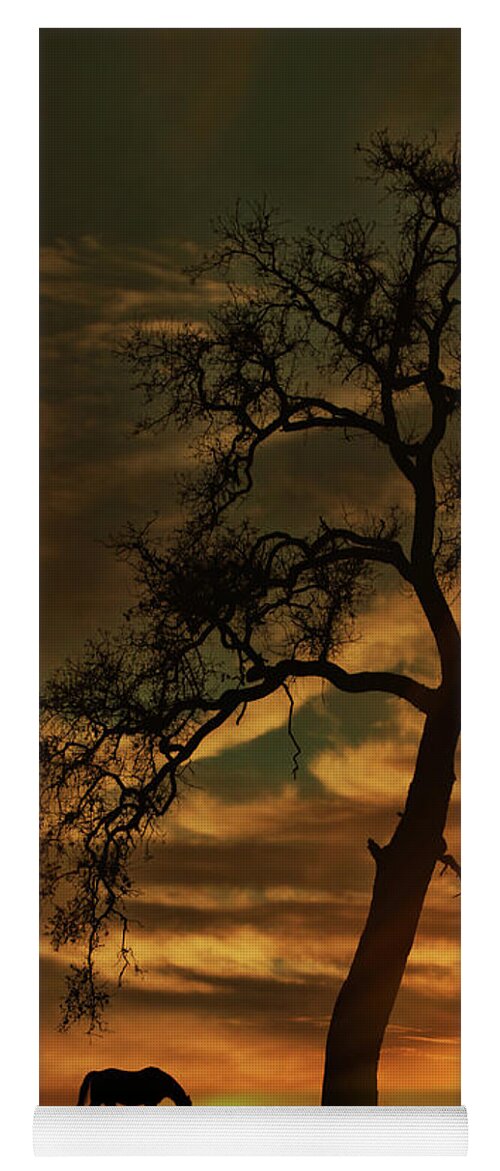 Horse Yoga Mat featuring the photograph Oak Tree and Horse Sunrise by Stephanie Laird