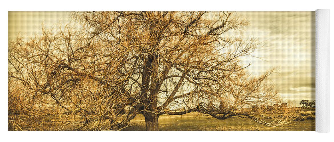 Autumn Yoga Mat featuring the photograph Oatlands autumn tree by Jorgo Photography